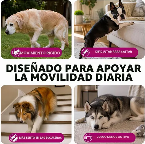 Vista 3 de Colágeno avanzado para perros - 170 masticables - Péptidos de suplemento Masticables de colágeno