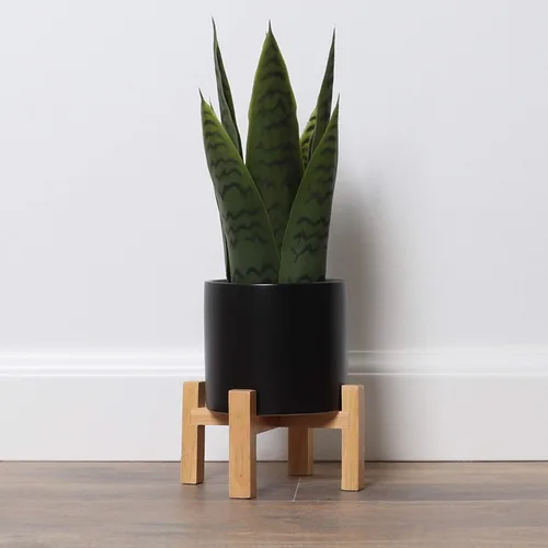 Vista 5 de Planta artificial de serpiente con soporte para plantas de mediados de siglo, planta Sansevieria en maceta moderna, plantas artificiales con soporte