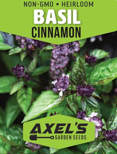 Vista 2 de Semillas de albahaca y canela para plantar, 1/4 onza más de 4,000 semillas de hierbas tradicionales sin OMG