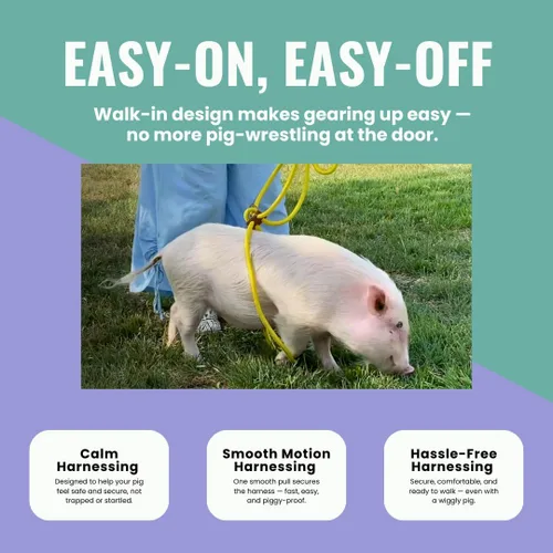 Vista 4 de PORCINE® Arnés y correa para mini cerdo, arnés totalmente ajustable con correa de estilo infinito, ideal para cerdos pequeños y medianos, duradero