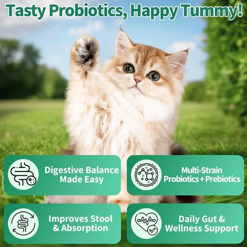 Vista 6 de Apoyo digestivo e intestinal para gatos y perros - Probióticos masticables suaves para gatos + suplemento de antibióticos de hierbas para perros