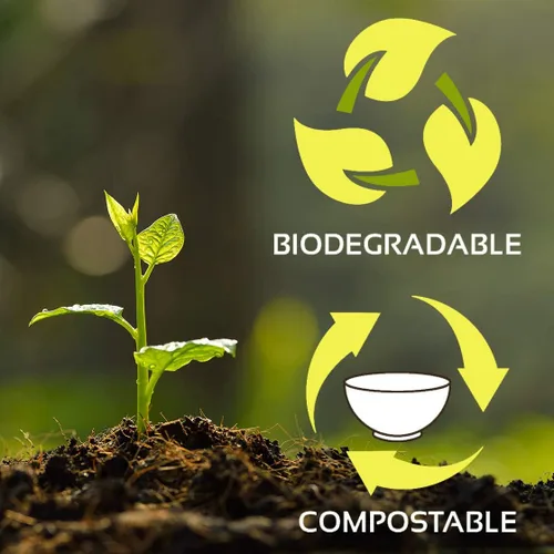 Vista 2 de Placa de fibra vegetal natural 100% compostable, 6 pulgadas, caja de 1000