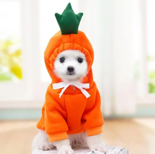 Vista 9 de Sudaderas con capucha para perro, ropa de rana para mascotas, suéter cálido de invierno, abrigo, ropa para perrito, ropa para cachorros, disfraz