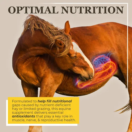 Vista 2 de Equerry's Suplemento de selenio y vitamina E para caballos Salud muscular y antioxidante Suplemento para caballos Forma de comida Bolsa de 20