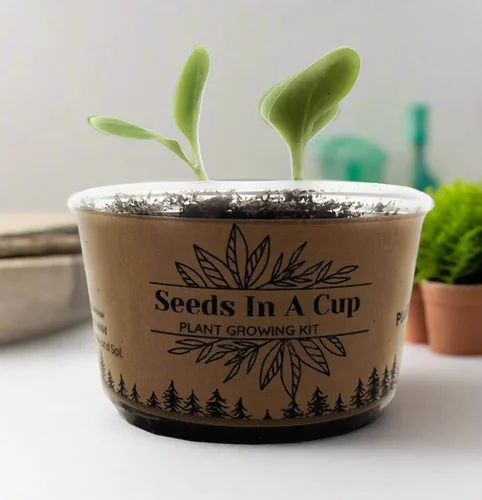Vista 10 de Seeds in A Cup- Kit de cultivo de árboles (fresno americano)