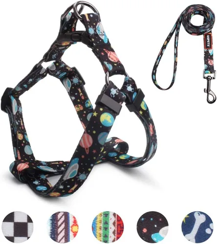 Vista 22 de QQPETS Juego de correa de arnés para perro, ajustable, resistente, sin tirones, arnés halter para perros de razas pequeñas, medianas y grandes, clip