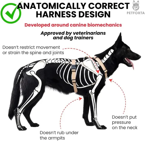 Vista 4 de Anatomically Correct - Arnés para perro en forma de Y, no restrictivo, sin tirones, ajustable de 6 puntos para movimiento natural, a prueba