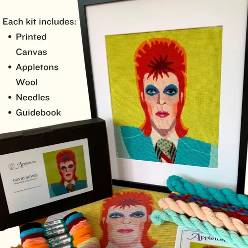 Vista 3 de HM NABAVIAN Appletons - Kit de punto de aguja de lana - Rango de retratos - David Bowie diseñado por Emily Peacock