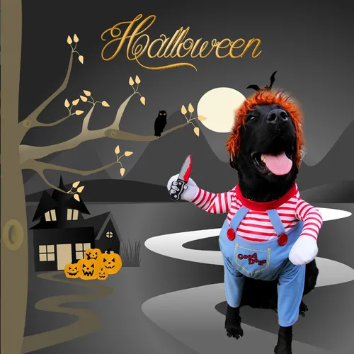 Vista 8 de Disfraz de perro de muñeca mortal para mascotas, divertido disfraz de Chucky de Halloween para perros pequeños, medianos y grandes, gatos