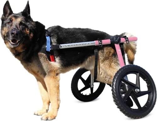 Vista 6 de Walkin' Wheels Silla de ruedas para perros, para perros grandes, de 70 a 180 libras, aprobada por veterinarios, silla de ruedas para perros