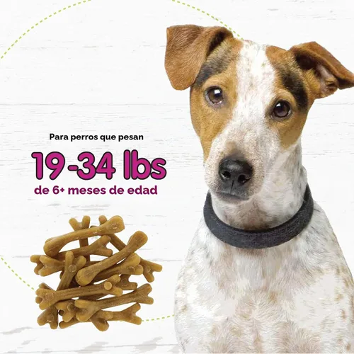 Vista 5 de Fido Belly Bones para perros, 13 golosinas dentales para perros pequeños con sabor a yogur (hechas en Estados Unidos) – 13 golosinas para perros