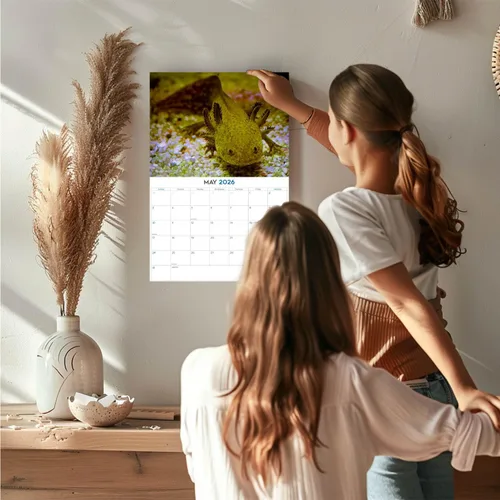 Vista 421 de Calendario de grises africanos 2025 2026 – Planificador mensual de pared de aves africanas – 12 x 18 pulgadas (abierto), calendario de pared
