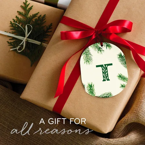 Vista 6 de Velas Thymes Frasier Fir - Colección Statement - Plata con diseño de aguja de pino - Velas perfumadas para decoración del hogar - Notas de aguja