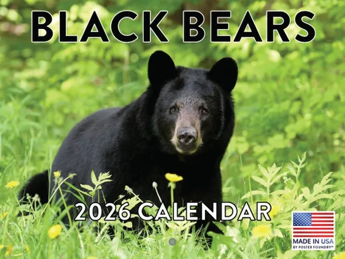 Vista 32 de Calendario mensual de pared de alpaca 2025 Fabricado en Estados Unidos