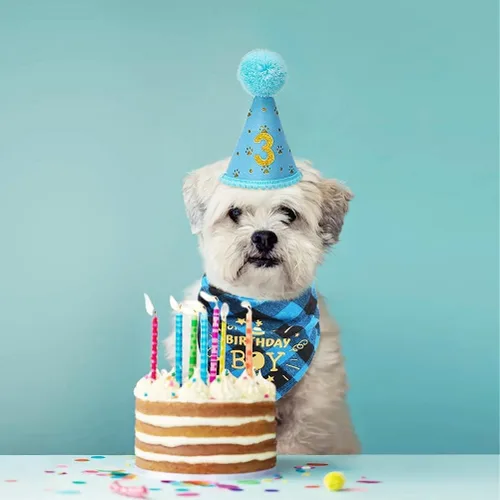 Vista 9 de Mihachi Suministros para fiestas de cumpleaños para perros, bandana y sombrero con número, bufanda triangular para regalo de decoración, perros