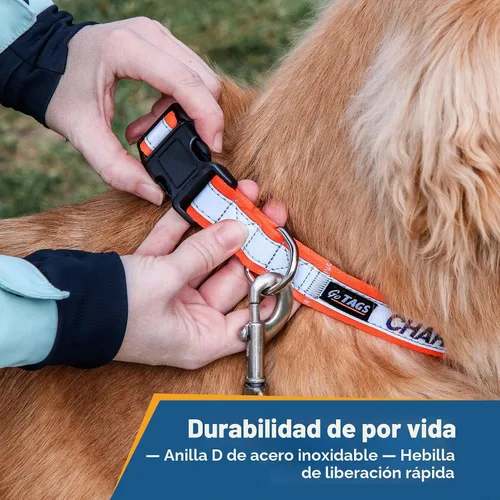 Vista 6 de GoTags Collar de perro personalizado reflectante, collar de seguridad Beige
