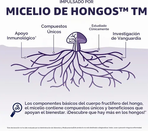 Vista 4 de Host Defense Mushrooms Extracto de Melena de León - Suplemento Líquido de Melena de León para la Salud Cerebral - Soporte de Hongos para el Enfoque