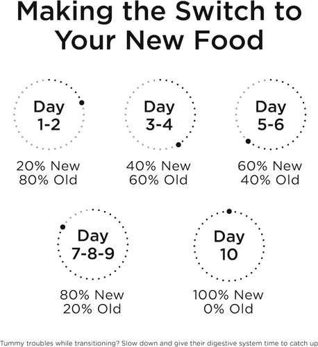 Vista 7 de Go! Solutions Digestión + salud intestinal, comida seca para gatos, receta de pollo con granos antiguos, bolsa de 3 libras Fiber-Rich Kibble for