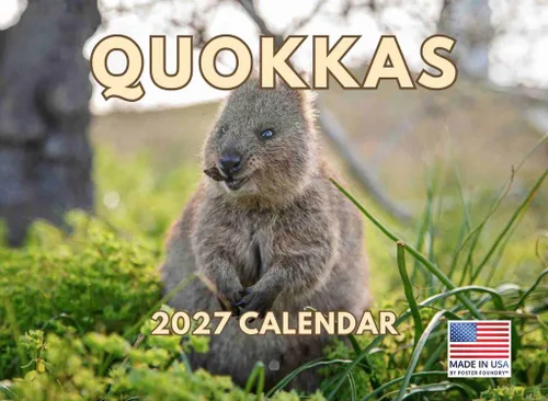 Vista 24 de Calendario mensual de pared 2025 de lagarto, 12 meses, fabricado en Estados Unidos Lizards