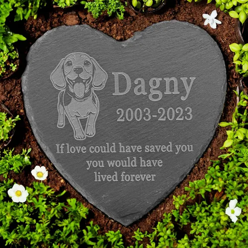Vista 26 de Memorial personalizado de American Staffordshire Terrier, lápida de American Staffordshire Terrier, condolencias por pérdida de American