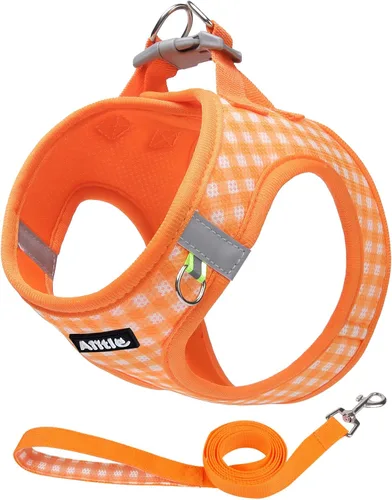 Vista 11 de AIITLE Juego de arnés y correa para perro, sin tirones, arnés de malla suave reflectante para cachorros y gatos extra pequeños, arnés de chaleco a