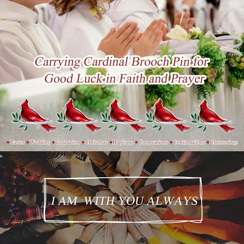 Vista 6 de Jexine Memorial Cardinal Sign Pins Set Funeral Pocket Token Guardian Gifts Pocket Oil Dropped Religious Funeral Favors Celebration of Life Memorial