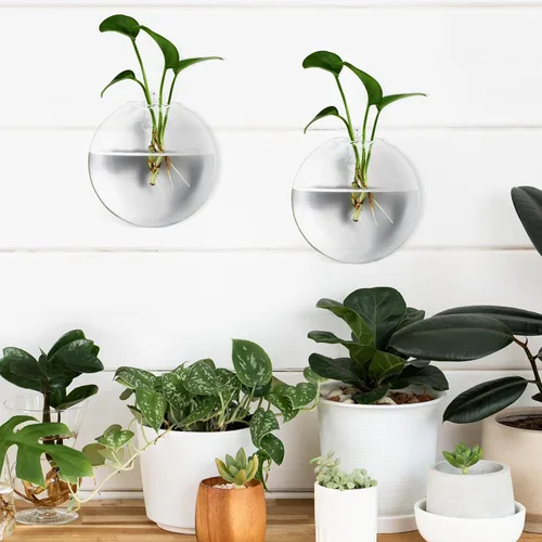 Vista 6 de 4pcs Wall Hanging Glass Flower Vessels Flat Oblate Bubble Design Hanging Holders for Indoor Plants Terrarium Stand Home Décor