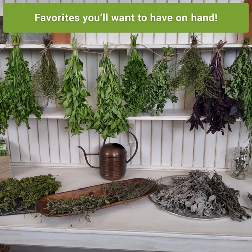 Vista 5 de Sow Right Seeds - Colección de semillas de jardín de hierbas perennes - menta, lavanda, salvia, cebollino común, bálsamo de limón, cebollino de ajo
