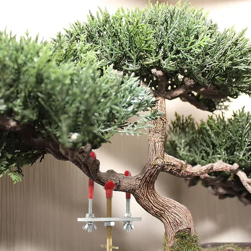 Vista 6 de BambooMN Bonsai 2 Branch Benders