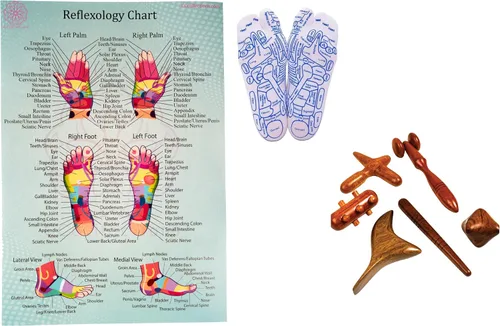 Vista 4 de CCcollections Herramientas de masaje de terapia de madera, herramienta de palo de madera de reflexología, equipo tradicional para aliviar el dolor