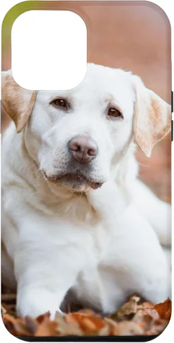 Vista 26 de Labrador Retriever Dog Lover - Carcasa para iPhone 17