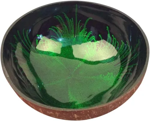Vista 11 de KESYOO Cuenco de cáscara de coco natural, contenedor decorativo para dulces, frutos secos, cuenco de almacenamiento con patrón único para la entrada