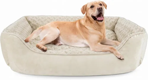 Vista 31 de JOEJOY - Cama rectangular para perros grandes, medianos y pequeños - Cama de sofá ortopédica lavable, suave y transpirable para cachorros