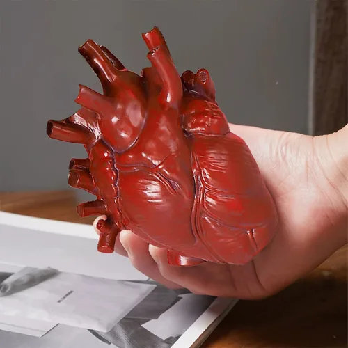 Vista 5 de Jarrón anatómico de corazón – Florero único de resina, jarrones en forma de corazón rojo para esculturas de flores, decoración del hogar, maceta