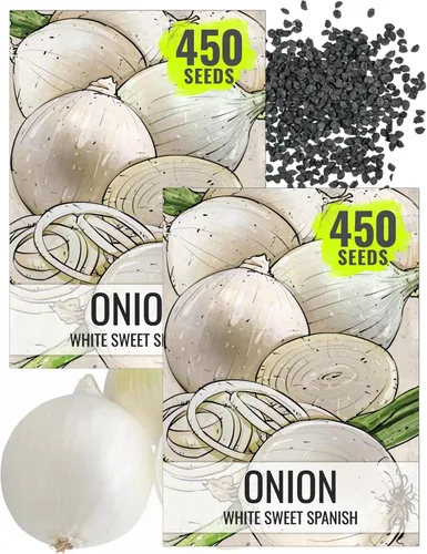 Vista 14 de Seed Needs Semillas de cebolla roja borgoña para plantar reliquia y sin OMG, 1 paquete