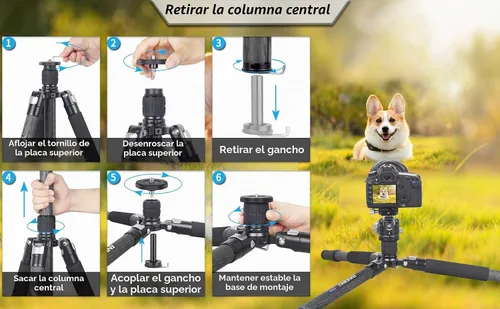 Vista 8 de Trípode de Fibra de Carbono - INNOREL RT85C Sin Rótula Cabeza de Bola Súper Profesional Trípode Monopié Soporte de Resistencia para Cámara DSLR Negro