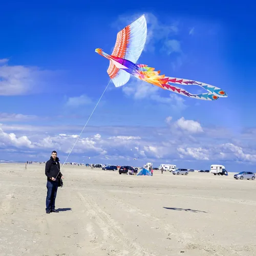 Vista 5 de Large Kite for Kids & Adults, Easy to Fly Bird Kites for Boys & Girls