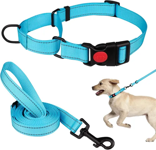Vista 15 de Set de Collar y Correa Martingale para Perros Collares de Martingale para Perros Collar de Martingale Reflectante para Perros Pequeños, Medianos