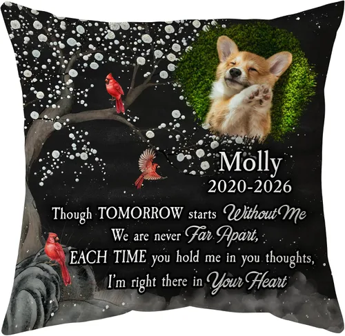 Vista 22 de Hyturtle Almohada personalizada conmemorativa de condolencia con inserción - 12"x12" impresa por ambas caras con nombre personalizado y foto