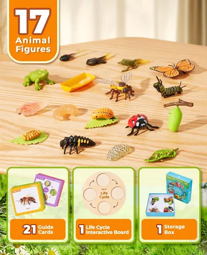 Vista 2 de JoyCat Juguetes Educativos de Aprendizaje del Ciclo de Vida, Kit de Oruga de Insecto a Mariposa, Mariquita, Abeja, Kit de Renacuajo a Rana, Juguetes