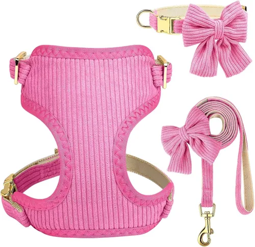 Vista 11 de Didog Lindo Arnés para Perro Pequeño con Collar y Correa con Moño, Arnés para Cachorros de Malla Suave y Transpirable Acolchado, Arnés para Perros