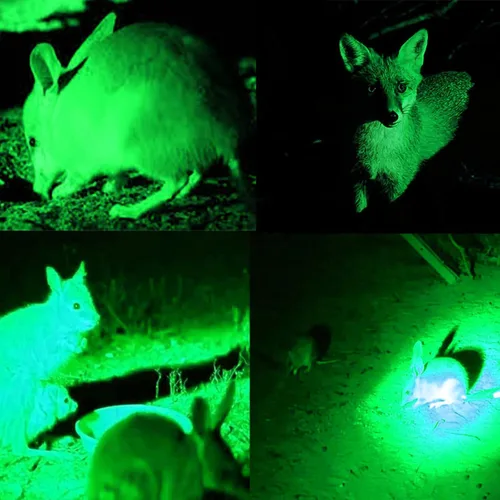 Vista 7 de WINDFIRE Luz de depredador verde de 300 yardas, linterna LED táctica con zoom, Coyote Hog Fox Varmint - Kits de linternas de caza con interruptor