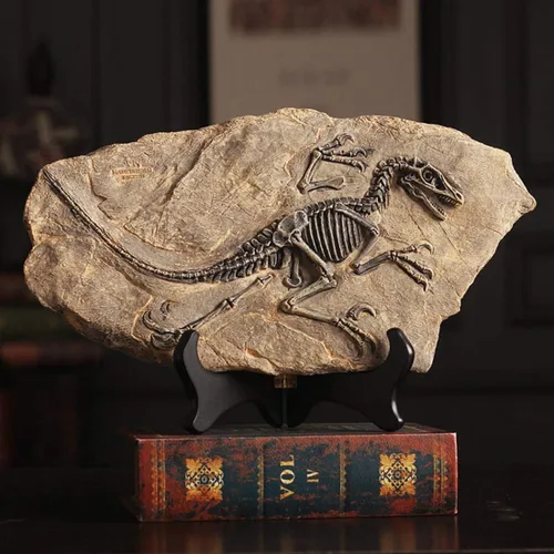 Vista 6 de XINDAM Modelo de estatua de fósil de dinosaurio de resina, esqueleto simulado para exhibición en hogar y oficina, caja decorativa de manualidades