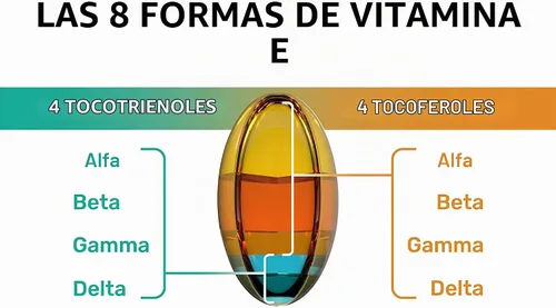 Vista 5 de Fórmula única con los 8 tocoferoles y tocotrienoles vitamina E - No contiene HAP, metales pesados, contaminantes o conservantes - Certificado
