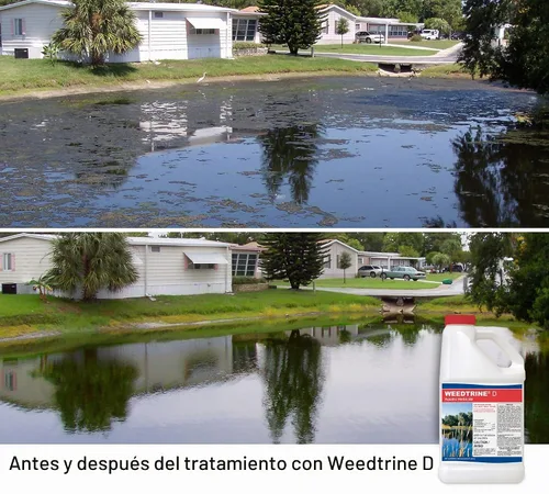 Vista 2 de Herbicida acuático Weedtrine D 1 galón en aerosol para control rápido y de amplio espectro de lentejas de agua, lechuga flotante, sumergida