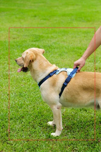 Vista 8 de Arnés para Perro Sin Tirones, Juego de Correa y Collar, Chaleco Suave y Ajustable para Perros, Reflectante y con Mango Cómodo Azul, Talla Pequeña