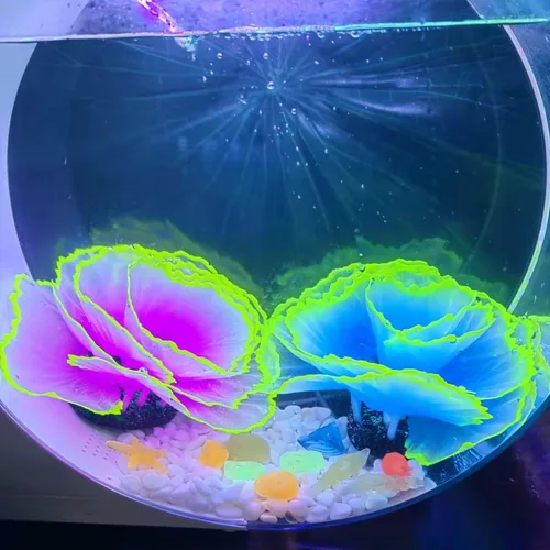 Vista 2 de Decoraciones brillantes para pecera, decoración de acuario brillante, adornos de coral, 2 plantas de flores de silicona y 10 piezas de conchas