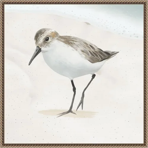 Vista 11 de Amanti Art Framed Canvas Wall Art 16x16 Sandpiper on the Beach II by Lucca Sheppard, Framed Wall Art Canvas, Animals Artwork, Modern Decor, Small