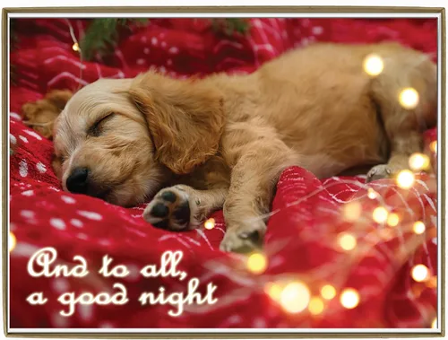 Vista 17 de Glory To Dog And To All A Good Night Sleepy Beagle Puppy - Juego de 12 tarjetas y sobres de Navidad