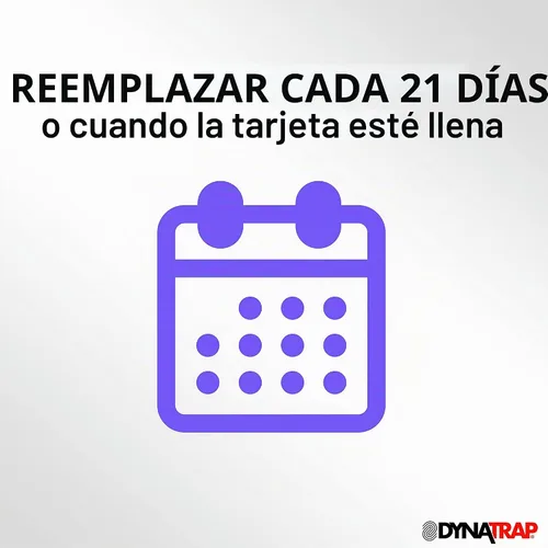 Vista 4 de Dynatrap DOT StickyTech - Tarjetas de pegamento de repuesto, paquete de 6